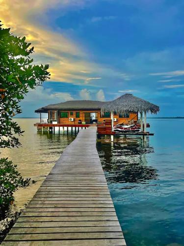 Eco-Lodge Bocas Coral Reef - Over water villa & birds house in Isla San Cristobal