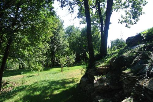 A L'Orée du Bois - Location saisonnière - Rillieux-la-Pape