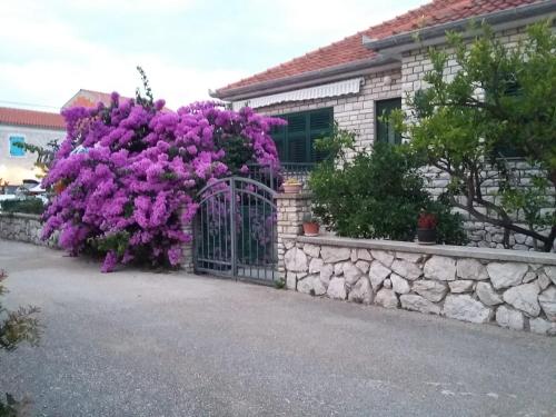  House Jadranka in Pašman