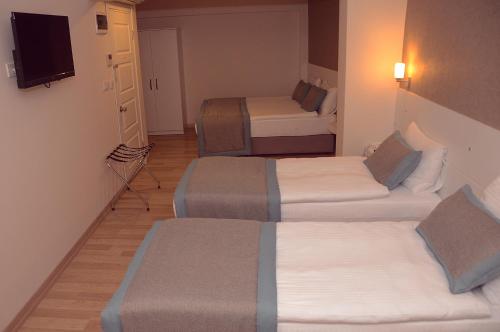Parion House Hotel - image 10