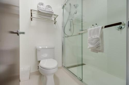 SpringHill Suites by Marriott Dallas NW Highway at Stemmons / I-35East in Dallas, USA