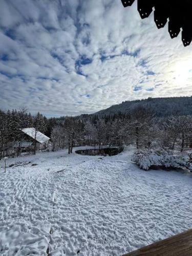 Chalet l’Escapade pleine nature Bain Nordique 6 personnes