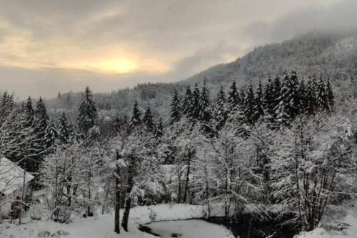 Chalet l’Escapade pleine nature Bain Nordique 6 personnes