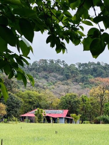 Dreamwoods A travellers farmhouse