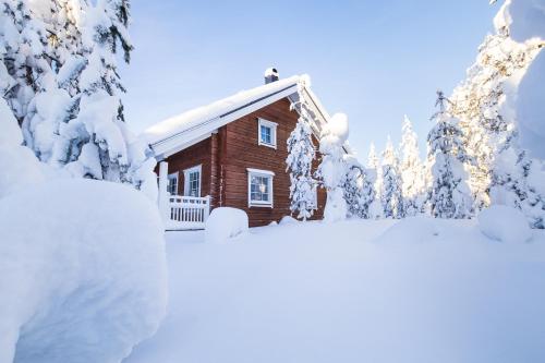 Ounasvaaran Lakituvat