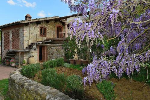 Molino in chianti