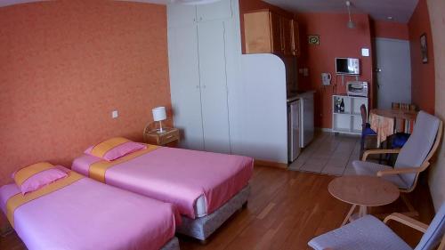 Résidence L'Alexandra 2 étoiles Room Type - Standard Studio