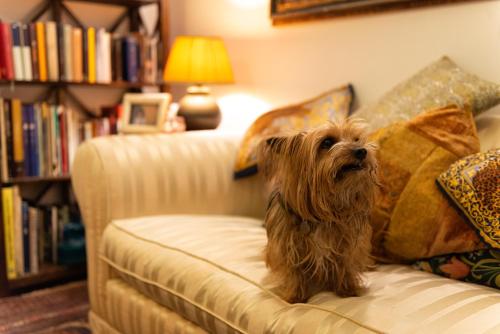 B&B La Scalinatella, Roma