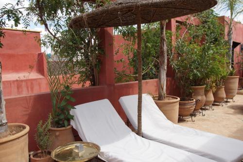 Riad Honey 3