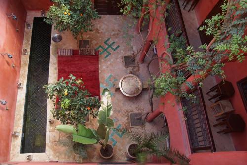 Riad Honey 2