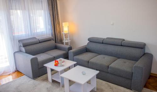 One-Bedroom Apartment image 8