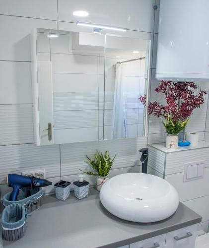 One-Bedroom Apartment image 4