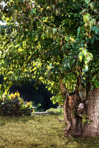 Zen Stone House - image 14