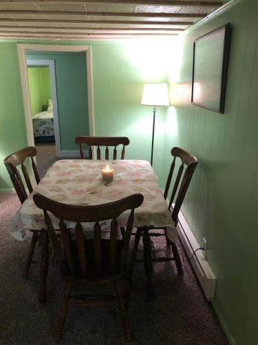 Rustic BEACH FRONT Basement Apt, Pet Friendly Wi-Fi apts in North Camellia Acres, USA