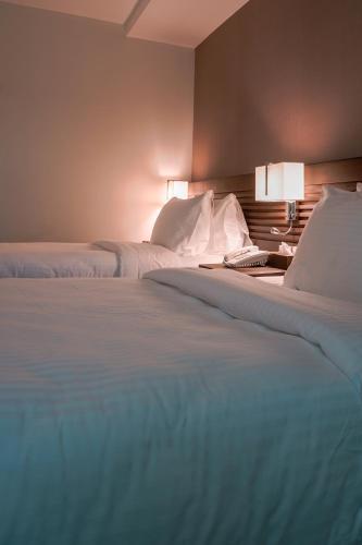 Bed, Hotel Areca in Legazpi