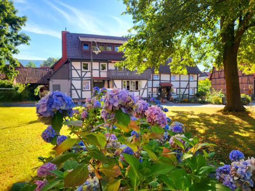 Gästehaus am Weser-Radweg - Apartment - Hannoversch Münden