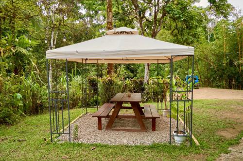 Pub/salon, Sukia Hostel in Drake Bay