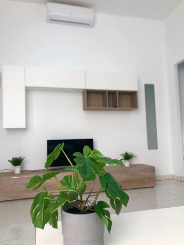 Chayofa Hills V - 2 Bedroom Apartment with Ocean Views and Air-condition - Vilaflor
