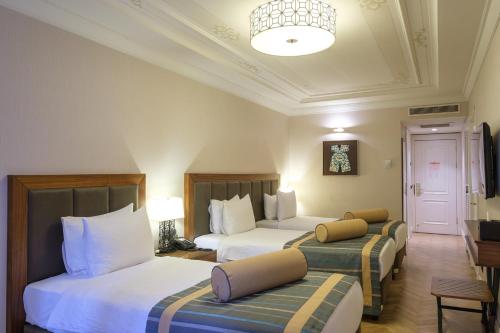 Golden Age Hotel Taksim, Istanbul (fotografie 10)