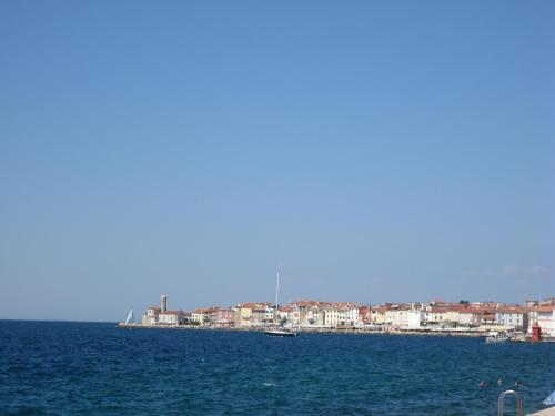 Apartma Dani Piran "Lets get wet together"