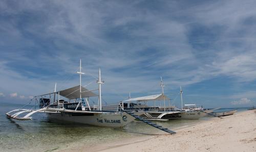 Evolution Dive and Beach Resort