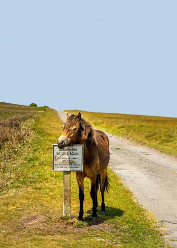 Private 7 bed wing of former farmhouse, edge of Exmoor, sleeps 16