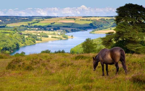 Private 7 bed wing of former farmhouse, edge of Exmoor, sleeps 16