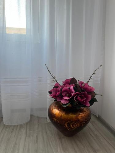 Apartament Tudor, Oradea