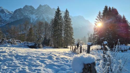 das Alpen Natur Idyll