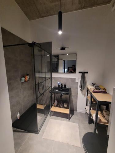 Apartament w Starym Mlynie Loft Różanka, Breslau (Foto 3)