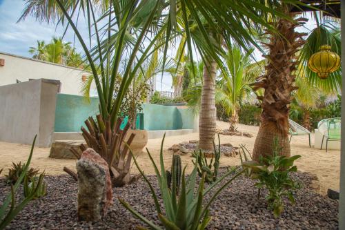 Pure Baja Suites and Retreats - Single Rooms in El Pescadero, Mexico