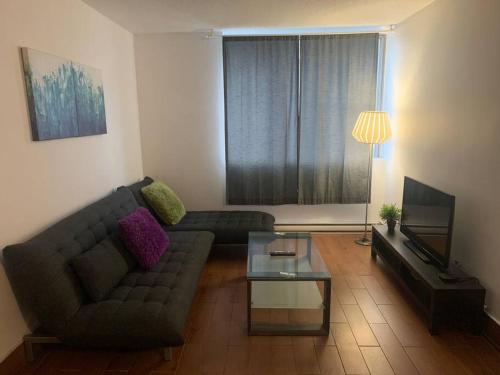 1 bedroom apartment in downtown Montreal