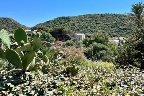 Merveilleuse maison à 3 min du port de Bonifacio - Location saisonnière - Bonifacio