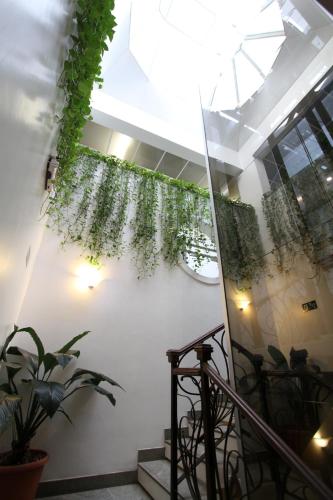 Vicenza Apart Hotel - 편의 시설/서비스