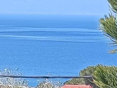 λυδια, Kalamata (fotografie 7)