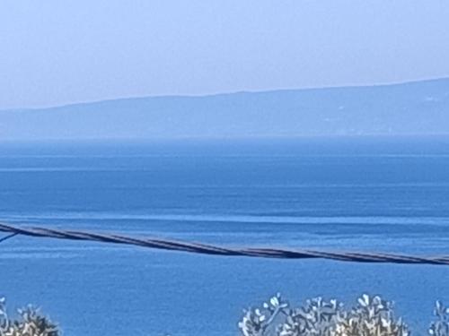 λυδια, Kalamata (fotografie 5)
