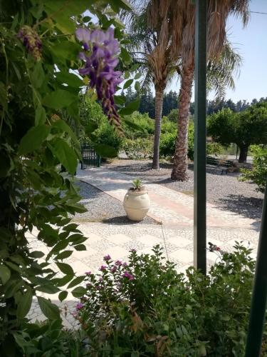  Panoramico, in villa, grande, con ampie terrazze in Marina di Caulonia