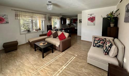 Apartment Borovi in Srbsko