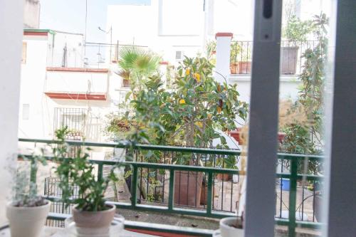Apartment image 8