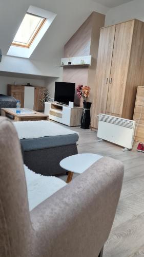 Apartman Marija - Location saisonnière - Sokobanja