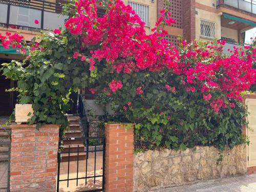 Precioso Bajo en 2a línea de mar - Apartment - Segur de Calafell