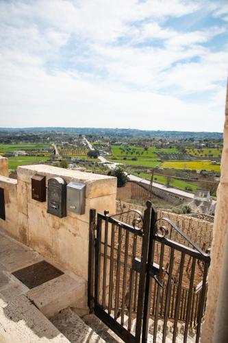 Belvedere 5