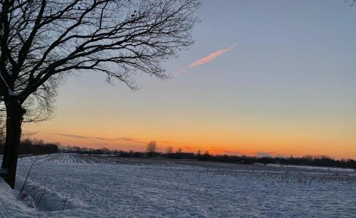 Appartementen Chaamse Bossen met tuin Appartementen Chaamse Bossen met tuin