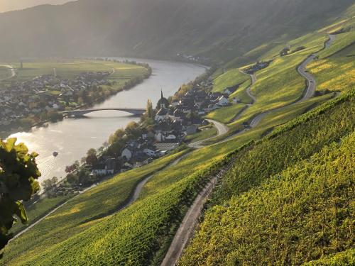 Weingut Lehnert-Später (Weingut Lehnert-Spater) in Piesport