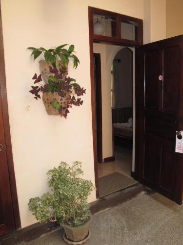 Deluxe Double Room image 1