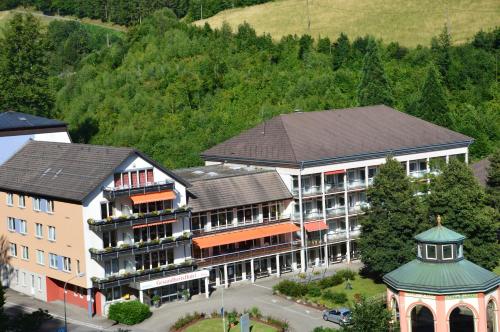 GesundheitsHotel Das Bad Peterstal - Bad Peterstal-Griesbach