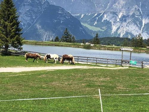 Sonniges Apartment mit Hallenbad und Sauna in Seefeld