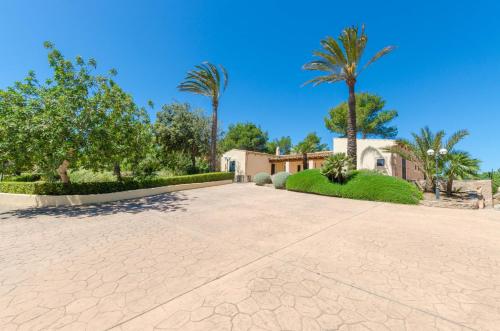 YourHouse Son Jaumell - image 6