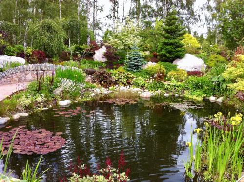 The Polchar - Aviemore, Aviemore (fotografie 8)