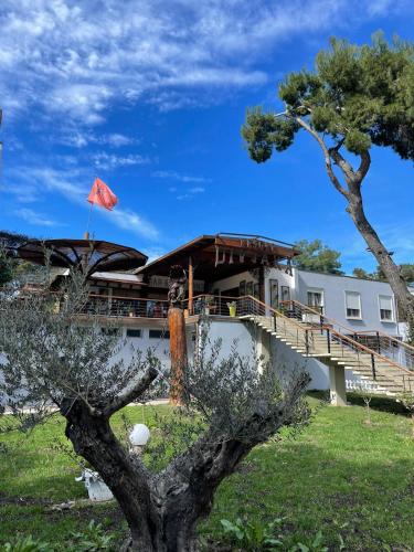 Exterior view of Divjaka Resort